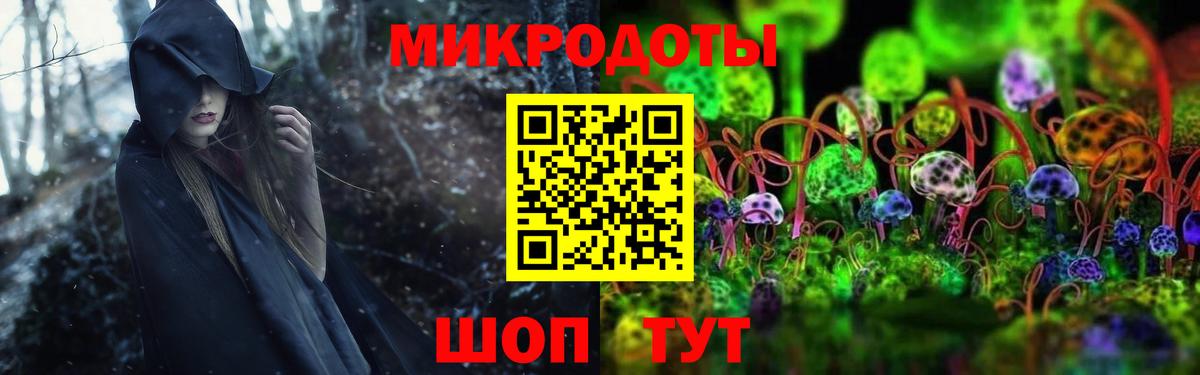 Псилоцибиновые грибы MAGIC MUSHROOMS  Псилоцибиновые грибы MAGIC MUSHROOMS  Вход с VPN  Калуга 
